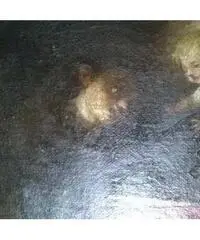 Dipinto Olio su tela del 600 - Genova