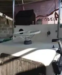 Albatros Albatros
