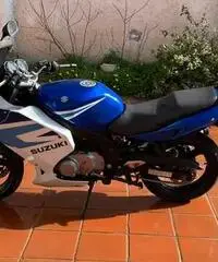 Suzuki gs500f Suzuki gs500f