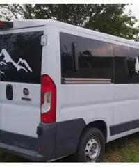 Fiat ducato camper