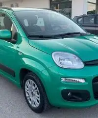 Fiat panda 1.2 benzina 69 cv ok neopatentati Fiat panda 1.2 benzina 69 cv ok neopatentati