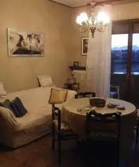 Appartamento di 2 locali in Affitto - Pavia Appartamento di 2 locali in Affitto - Pavia