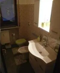 Appartamento di 2 locali in Affitto - Pavia Appartamento di 2 locali in Affitto - Pavia