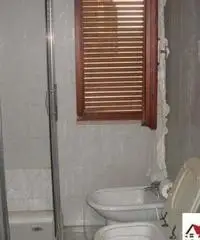 Appartamento in Affitto di 68mq - Pisa Appartamento in Affitto di 68mq - Pisa