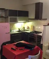 Appartamento di 2 locali in Affitto - Marche Appartamento di 2 locali in Affitto - Marche