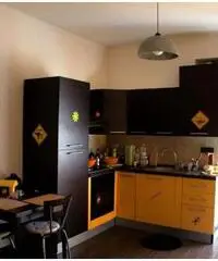 Appartamento in Affitto - Mirafiori sud - Torino Appartamento in Affitto - Mirafiori sud - Torino