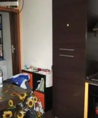 Appartamento in Affitto - Mirafiori sud - Torino Appartamento in Affitto - Mirafiori sud - Torino