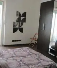 Appartamento in Affitto - Mirafiori sud - Torino Appartamento in Affitto - Mirafiori sud - Torino