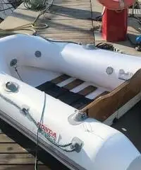 Tender Dolphin 200 Tender Dolphin 200