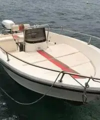 Barca a motore Barca a motore