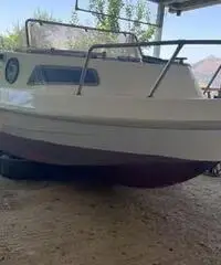 Barca pilotina Barca pilotina