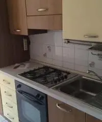 Torino: Appartamento Bilocale Torino: Appartamento Bilocale