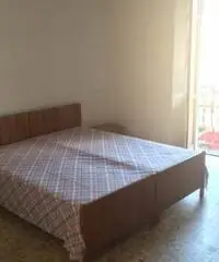 Torino: Appartamento Bilocale Torino: Appartamento Bilocale