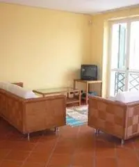 Torino Affitto Appartamento