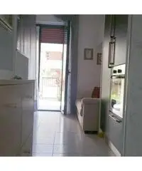 Appartamento in Affitto 50mq - Arezzo