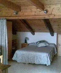 Nichelino, appartamento 50 mq, arredato. - Torino