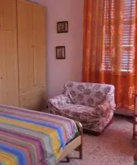 Appartamento in Affitto - CENTRO - Marche Appartamento in Affitto - CENTRO - Marche