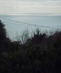 Appartamento in Affitto di 60mq - Napoli