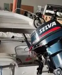 Barca Marino con motore Selva 25 hp Barca Marino con motore Selva 25 hp
