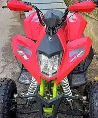 New QUAD FX 250cc Maxi KING R10 Sport TEAM New QUAD FX 250cc Maxi KING R10 Sport TEAM