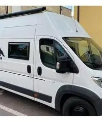 Camper puro Camper puro