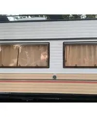 Camper arca Camper arca