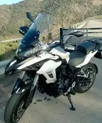 Benelli Trk502 Benelli Trk502