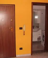 Affitto grazioso bilocale - Bologna Affitto grazioso bilocale - Bologna