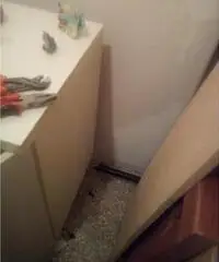 IMPERDIBILE E INCREDIBILE IMPERDIBILE E INCREDIBILE
