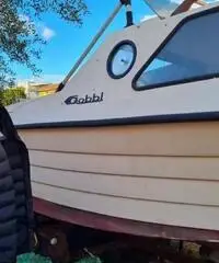 Pilotina gobbi planante