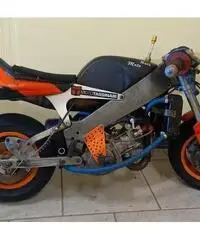 Minimoto polini Minimoto polini