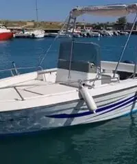 Barca 6,5 suzuki 140 Barca 6,5 suzuki 140
